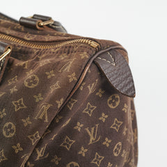 Louis Vuitton Speedy 30 Brown Denim