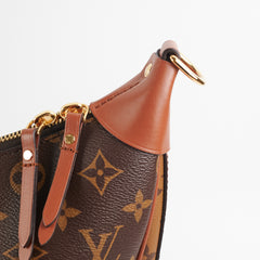 Louis Vuitton Loop Hobo Monogram/Reverse Monogram