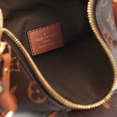 Louis Vuitton Loop Hobo Monogram/Reverse Monogram