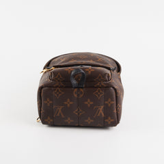 Louis Vuitton Palm Spring Mini Monogram