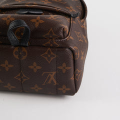 Louis Vuitton Palm Spring Mini Monogram