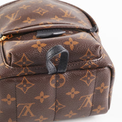 Louis Vuitton Palm Spring Mini Monogram