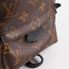 Louis Vuitton Palm Spring Mini Monogram