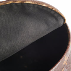 Louis Vuitton Palm Spring Mini Monogram