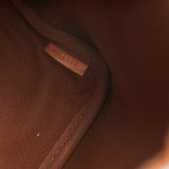 Louis Vuitton Nano Noe Monogram