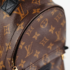 Louis Vuitton Palm Spring Mini Monogram