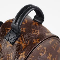 Louis Vuitton Palm Spring Mini Monogram