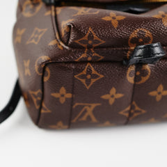 Louis Vuitton Palm Spring Mini Monogram