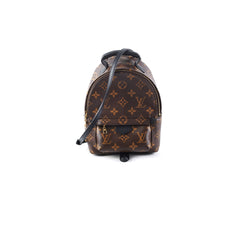 Louis Vuitton Palm Spring Mini Monogram