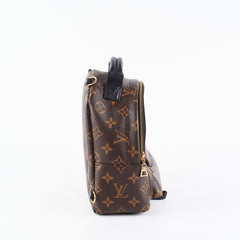 Louis Vuitton Palm Spring Mini Monogram