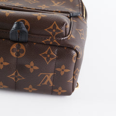 Louis Vuitton Palm Spring Mini Monogram