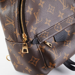 Louis Vuitton Palm Spring Mini Monogram