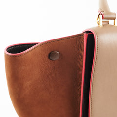 Celine Trapeze Small Multicolour Bag