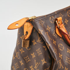 Louis Vuitton Speedy 30 Monogram
