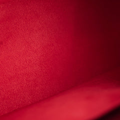 Louis Vuitton Jasmine Red Epi Bag