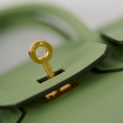 Hermes Birkin 25 Swift Vert Criquet - Stamp Y