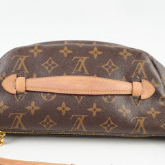 Louis Vuitton Bum Bag Monogram