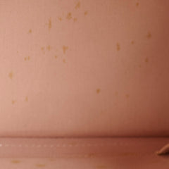 Louis Vuitton PM Alma Patent Leather Beige