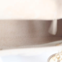 Lady Dior Mini Light Grey