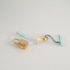 Hermes Picotin 18 Canban Clemence Gold HW 2025