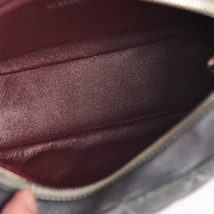 Chanel Quilted Lambskin Mettallic Camera Bag Silver