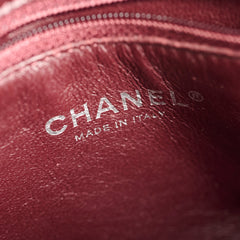 Chanel Quilted Lambskin Mettallic Camera Bag Silver