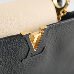 Louis Vuitton Capucines MM Tricolor