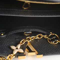 Louis Vuitton Capucines MM Tricolor