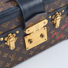 Louis Vuitton Petite Malle Monogram