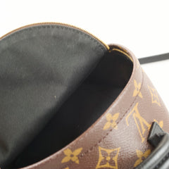 Louis Vuitton Palm Springs Mini Monogram