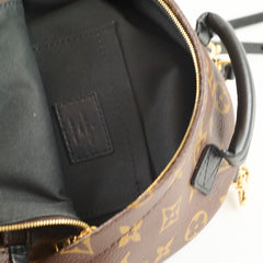 Louis Vuitton Palm Springs Mini Monogram