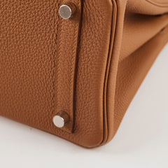 Hermès Birkin 25 Limited Edition Officer Gold/Ambre Togo PHW- C Stamp