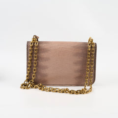 Dior DiorAddict Chain Bag Lizard