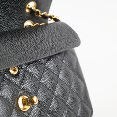 Chanel Small Black Caviar GHW Classic Flap 31 Series
