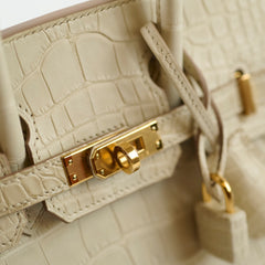 Hermes Birkin 25 Beton Alligator Matte B Stamp