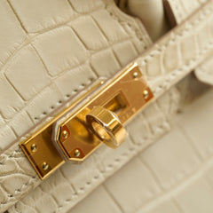 Hermes Birkin 25 Beton Alligator Matte B Stamp