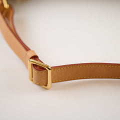 Louis Vuitton Monogram Bumbag
