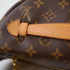 Louis Vuitton Monogram Bumbag