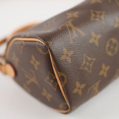 Louis Vuitton Nano Speedy Monogram 2020