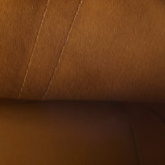 Celine Triomphe Canvas Calfskin Medium Bucket Bag Tan