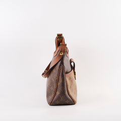 Louise Vuitton Dauphine Hobo PM Reverse Monogram Reverse