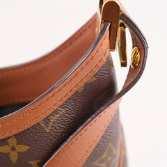 Louise Vuitton Dauphine Hobo PM Reverse Monogram Reverse