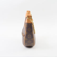 Louis Vuitton Loop Monogram Bag
