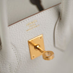 Hermes Birkin 25 Togo Gris Pale