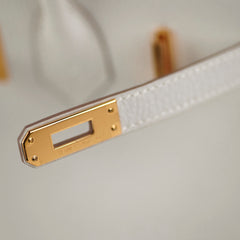 Hermes Birkin 25 Togo Gris Pale