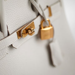 Hermes Birkin 25 Togo Gris Pale