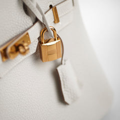 Hermes Birkin 25 Togo Gris Pale