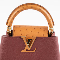 Louis Vuitton Capucines Mini with Ostrich Handle