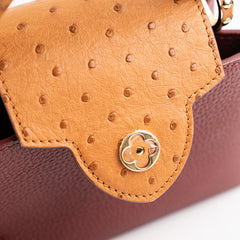 Louis Vuitton Capucines Mini with Ostrich Handle