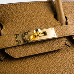 Hermes Birkin 30 Bronze Dore Togo with GHW - Stamp Y 2020